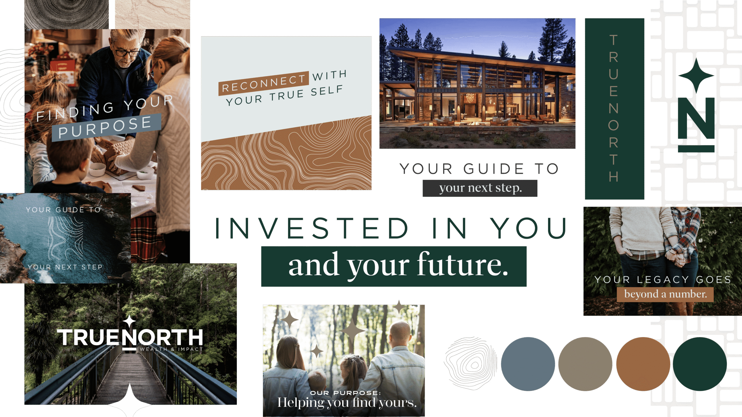 eAdvisor Brand Assets