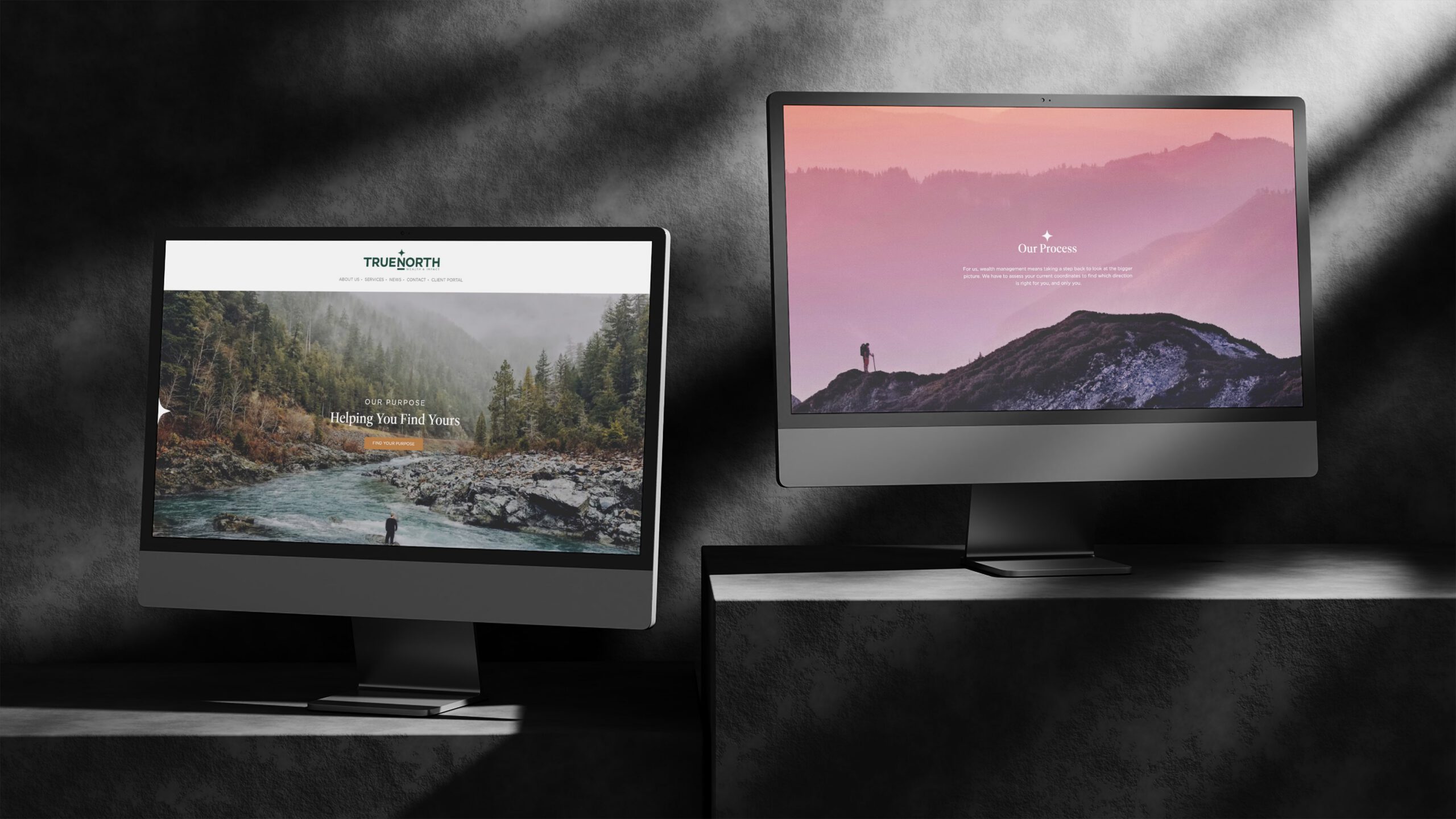 eAdvisor Brand Assets